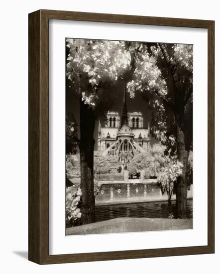 Notre Dame, Paris, France-Jon Arnold-Framed Photographic Print