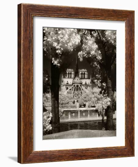 Notre Dame, Paris, France-Jon Arnold-Framed Photographic Print