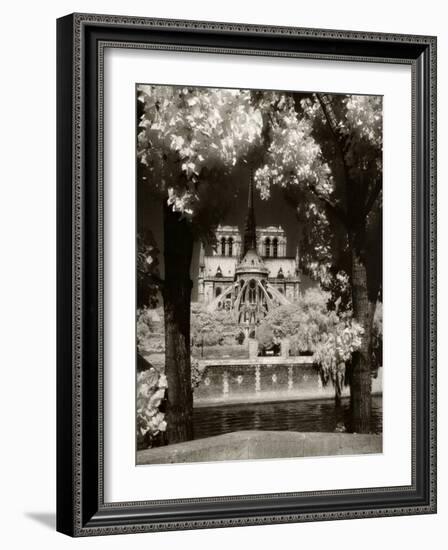 Notre Dame, Paris, France-Jon Arnold-Framed Photographic Print