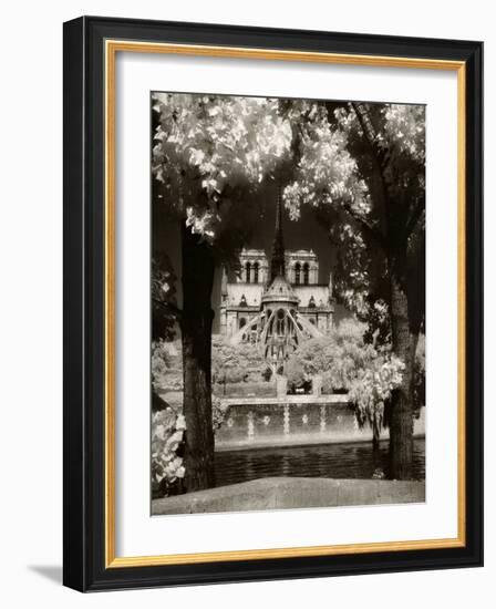 Notre Dame, Paris, France-Jon Arnold-Framed Photographic Print