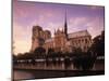 Notre Dame, Paris, France-Jon Arnold-Mounted Photographic Print