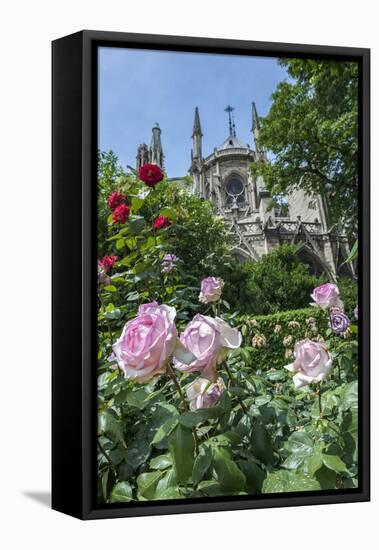 Notre Dame, Paris, France-Lisa S. Engelbrecht-Framed Premier Image Canvas