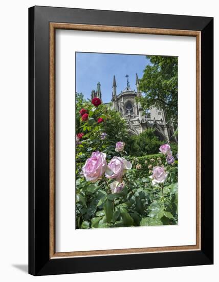 Notre Dame, Paris, France-Lisa S. Engelbrecht-Framed Photographic Print