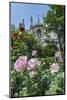 Notre Dame, Paris, France-Lisa S. Engelbrecht-Mounted Photographic Print