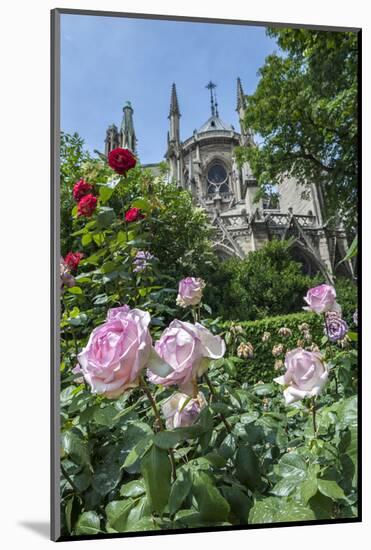 Notre Dame, Paris, France-Lisa S. Engelbrecht-Mounted Photographic Print