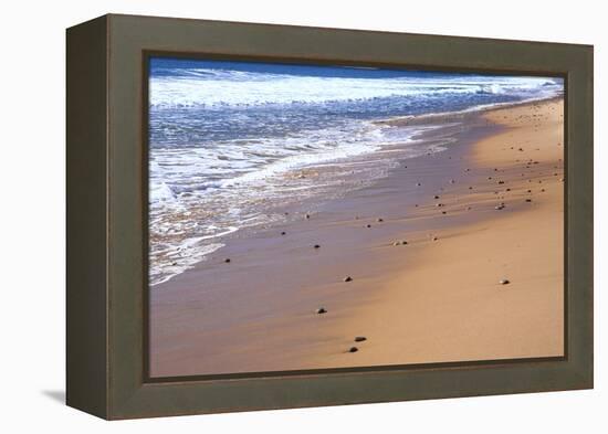 Nova Scotia, beach near the Cabot Trail, Cape Breton-Patrick J. Wall-Framed Premier Image Canvas