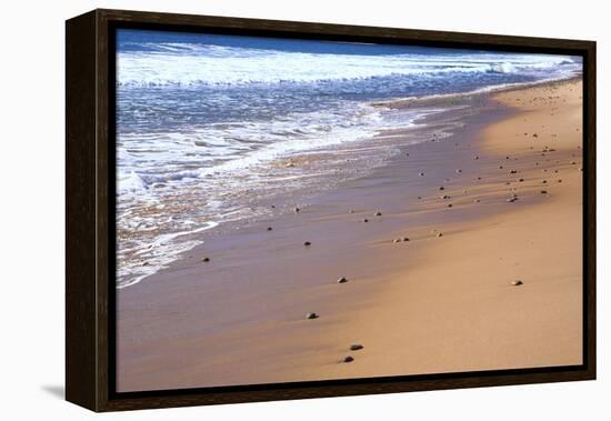 Nova Scotia, beach near the Cabot Trail, Cape Breton-Patrick J. Wall-Framed Premier Image Canvas