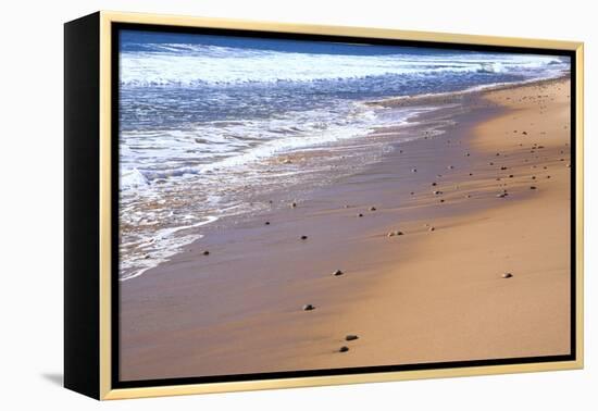 Nova Scotia, beach near the Cabot Trail, Cape Breton-Patrick J. Wall-Framed Premier Image Canvas