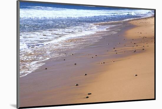 Nova Scotia, beach near the Cabot Trail, Cape Breton-Patrick J. Wall-Mounted Photographic Print