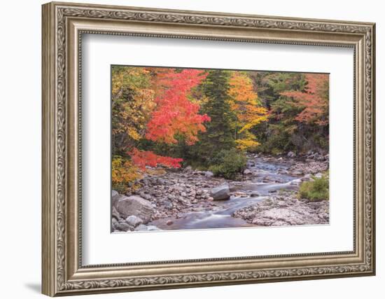 Nova Scotia, Cabot Trail. Neils Harbour, Cape Breton Highlands National Park-Walter Bibikow-Framed Photographic Print