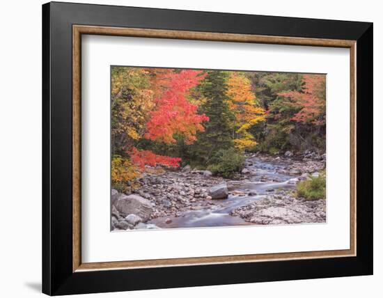 Nova Scotia, Cabot Trail. Neils Harbour, Cape Breton Highlands National Park-Walter Bibikow-Framed Photographic Print