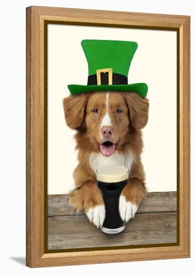 Nova Scotia Duck Tolling Retriever Sitting-null-Framed Premier Image Canvas