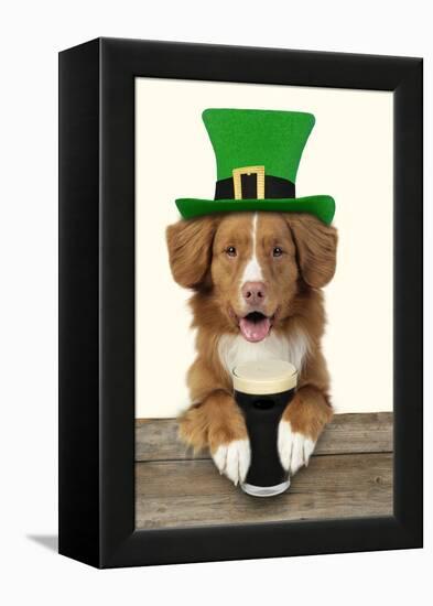 Nova Scotia Duck Tolling Retriever Sitting-null-Framed Premier Image Canvas