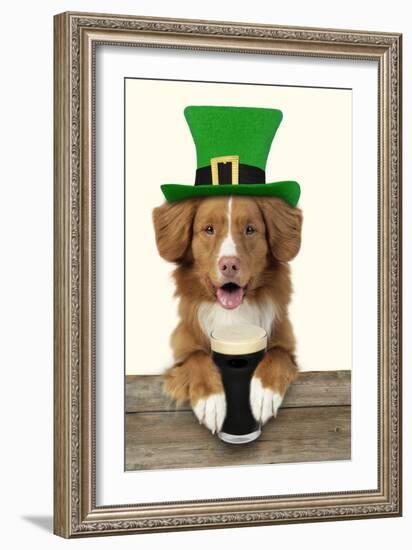 Nova Scotia Duck Tolling Retriever Sitting-null-Framed Photographic Print