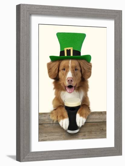 Nova Scotia Duck Tolling Retriever Sitting-null-Framed Photographic Print