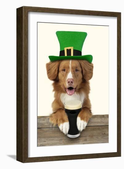 Nova Scotia Duck Tolling Retriever Sitting-null-Framed Photographic Print