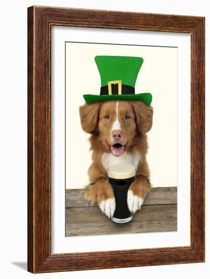 Nova Scotia Duck Tolling Retriever Sitting-null-Framed Photographic Print