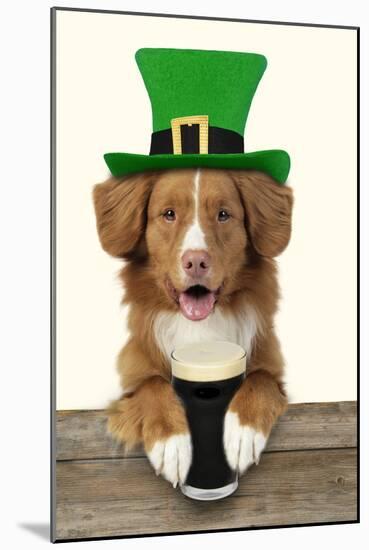 Nova Scotia Duck Tolling Retriever Sitting-null-Mounted Photographic Print