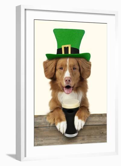 Nova Scotia Duck Tolling Retriever Sitting-null-Framed Photographic Print