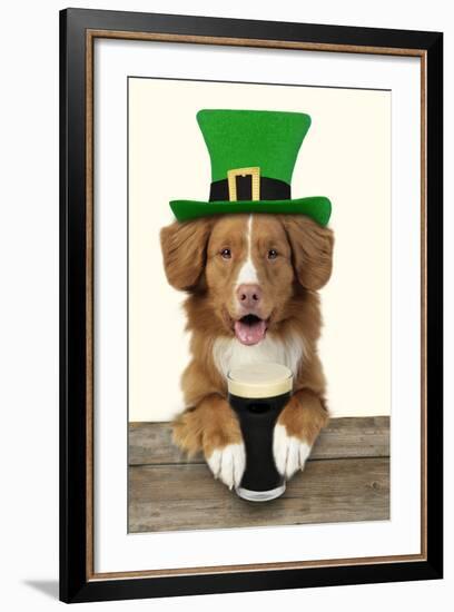 Nova Scotia Duck Tolling Retriever Sitting-null-Framed Photographic Print