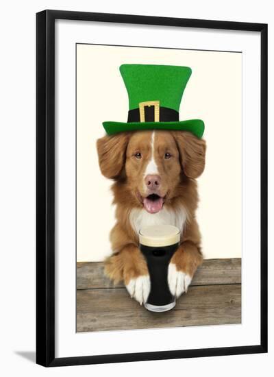 Nova Scotia Duck Tolling Retriever Sitting-null-Framed Photographic Print