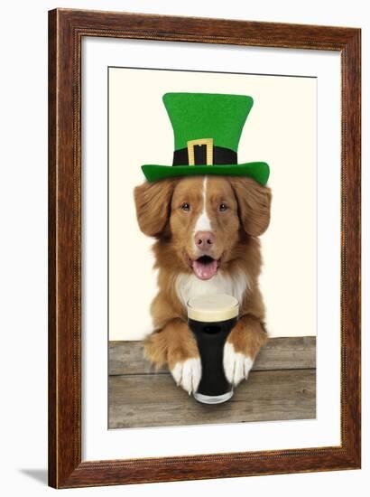 Nova Scotia Duck Tolling Retriever Sitting-null-Framed Photographic Print