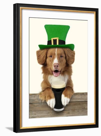 Nova Scotia Duck Tolling Retriever Sitting--Framed Photographic Print