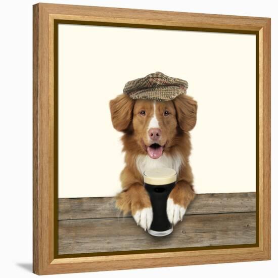 Nova Scotia Duck Tolling Retriever Wearing-null-Framed Premier Image Canvas