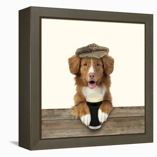 Nova Scotia Duck Tolling Retriever Wearing-null-Framed Premier Image Canvas