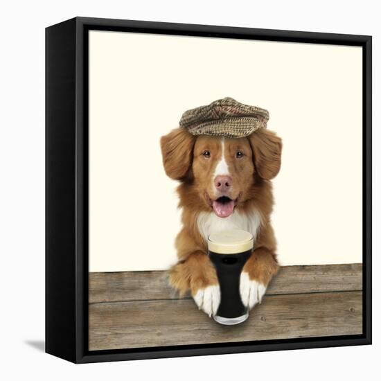 Nova Scotia Duck Tolling Retriever Wearing-null-Framed Premier Image Canvas