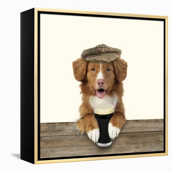 Nova Scotia Duck Tolling Retriever Wearing-null-Framed Premier Image Canvas