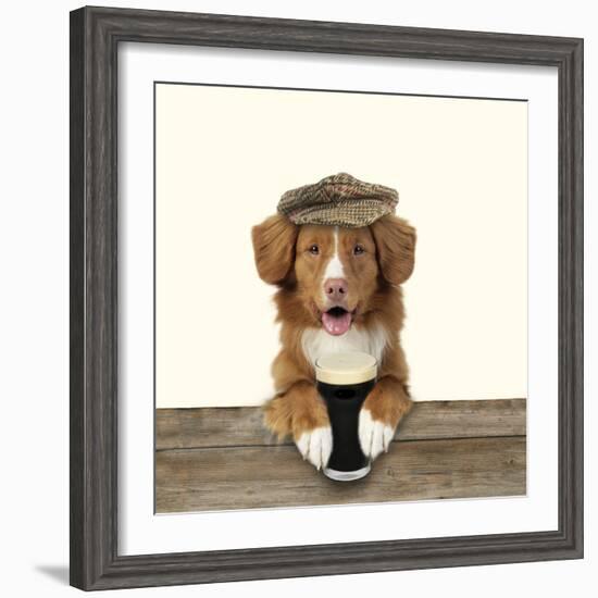 Nova Scotia Duck Tolling Retriever Wearing-null-Framed Photographic Print