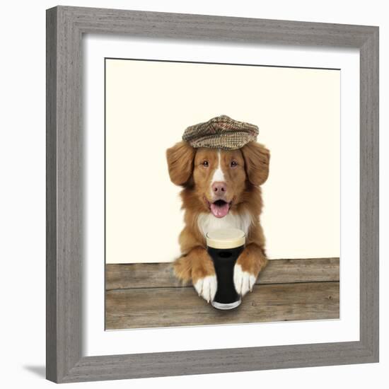 Nova Scotia Duck Tolling Retriever Wearing-null-Framed Photographic Print