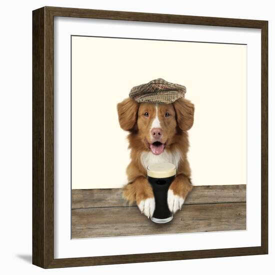 Nova Scotia Duck Tolling Retriever Wearing-null-Framed Photographic Print