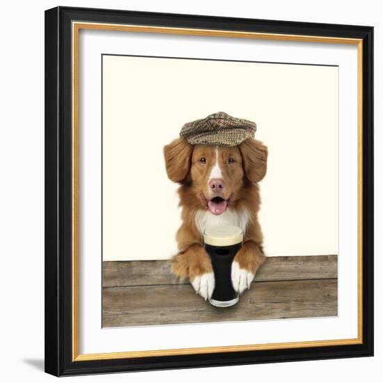 Nova Scotia Duck Tolling Retriever Wearing-null-Framed Photographic Print