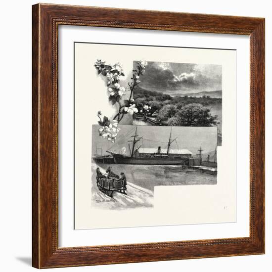 Nova Scotia, in the Annapolis Valley, Canada, Nineteenth Century-null-Framed Giclee Print