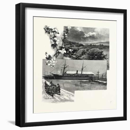 Nova Scotia, in the Annapolis Valley, Canada, Nineteenth Century-null-Framed Giclee Print
