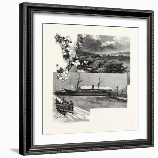 Nova Scotia, in the Annapolis Valley, Canada, Nineteenth Century-null-Framed Giclee Print