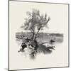 Nova Scotia, Pictou, Canada, Nineteenth Century-null-Mounted Giclee Print