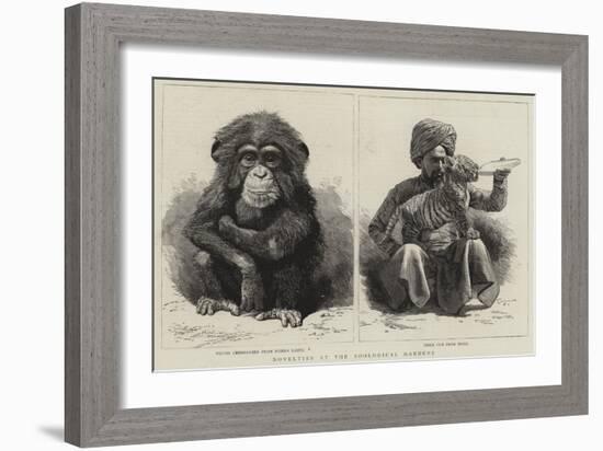 Novelties at the Zoological Gardens-null-Framed Giclee Print