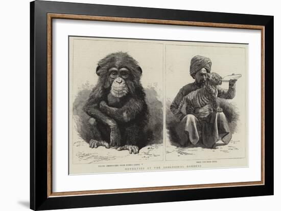 Novelties at the Zoological Gardens-null-Framed Giclee Print