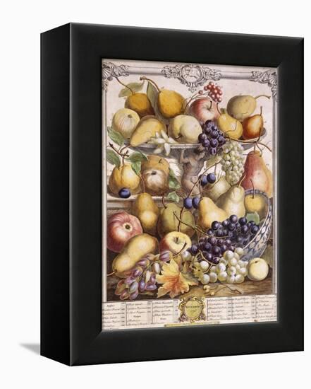 November 1732, Showing Seasonal Apples, Pears, Grapes Etc, 1732-Pieter Casteels-Framed Premier Image Canvas