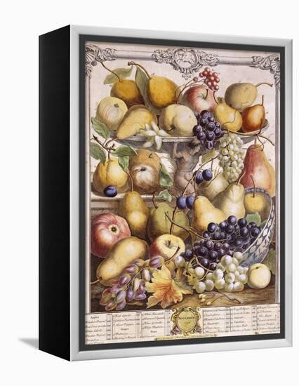 November 1732, Showing Seasonal Apples, Pears, Grapes Etc, 1732-Pieter Casteels-Framed Premier Image Canvas