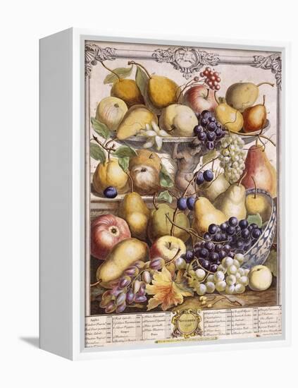 November 1732, Showing Seasonal Apples, Pears, Grapes Etc, 1732-Pieter Casteels-Framed Premier Image Canvas