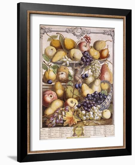 November 1732, Showing Seasonal Apples, Pears, Grapes Etc, 1732-Pieter Casteels-Framed Giclee Print