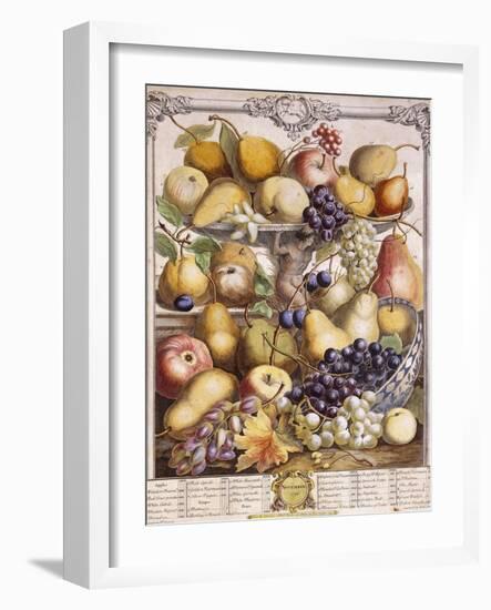 November 1732, Showing Seasonal Apples, Pears, Grapes Etc, 1732-Pieter Casteels-Framed Giclee Print