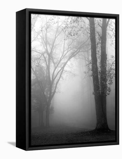 November Fog-Nicholas Bell-Framed Premier Image Canvas