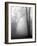 November Fog-Nicholas Bell-Framed Photographic Print