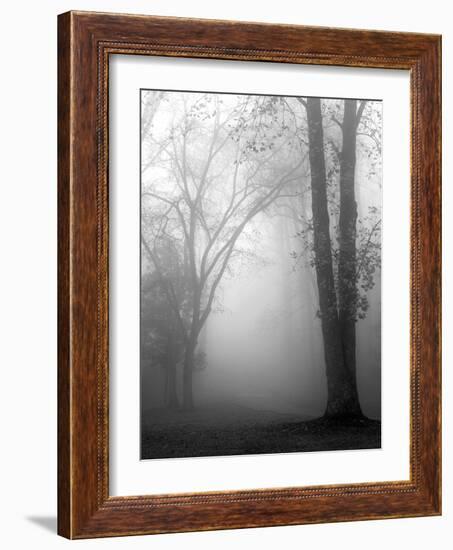 November Fog-Nicholas Bell-Framed Photographic Print