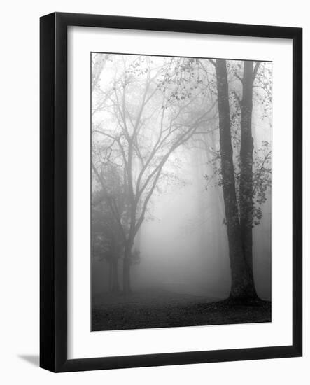 November Fog-Nicholas Bell-Framed Photographic Print